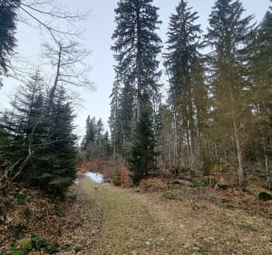 Les 2 chalets, Prémanon en forêt de Tresberruy - Lamoura - 3