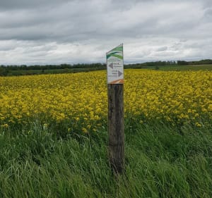 Au-dessus de Vaux-Montreuil et Chesnois-Auboncourt - Vaux-Montreuil - 4