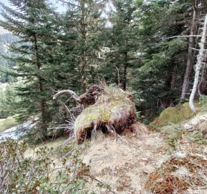 Lac de Bareilles - Bareilles - 5