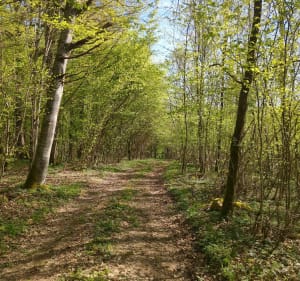 Balade entre Polaincourt et Hurecourt - Polaincourt-et-Clairefontaine - 3