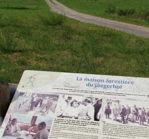 Autour du rocher de Dabo - Dabo - 4