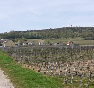 Boucle panoramique de Vrigny - Vrigny - 4