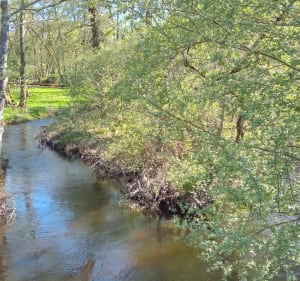 Randonnée à Saint Pardoux - Saint-Pardoux-le-Lac - 5