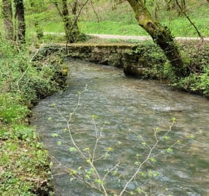 Promenade de l'eau par Houdan et la Chapelle-Saint-André - Varzy - 5