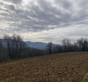 Petite Reguinelle - Saint-Paul-lès-Romans - 3