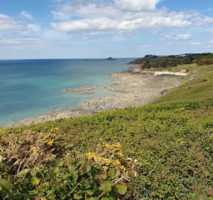 Sur le GR au départ de Dahouet - Pléneuf-Val-André - 4