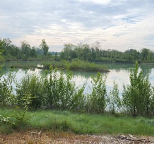 Lacs d'Emprunt et de la Forestière par la lône de Grella - Meyzieu - 5