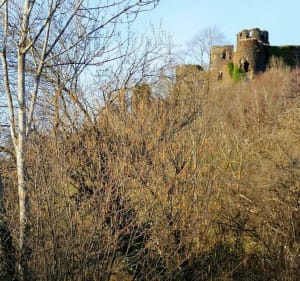 À la découverte du Château de Mauzun - Bongheat - 3