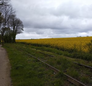 Balade à partir de Lumbres - Fred - 4