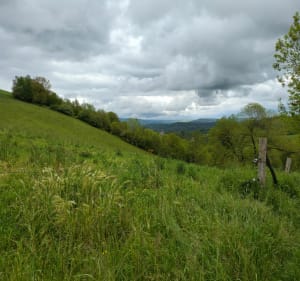 Boucle autour d'Auzits et Hautesserre - Auzits - 4