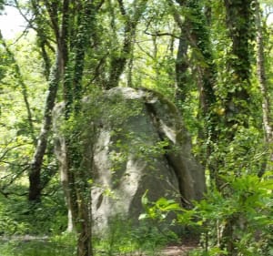 Plouhinec et son sentier de randonnée - Plouhinec - 4