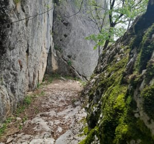 Col de la Baure en boucle - Bernin - 3