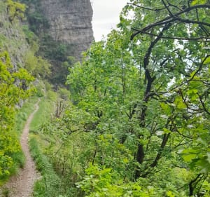 Col de la Baure en boucle - Bernin - 5