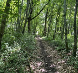 Balade vignes, moulins et châteauà Mirande - Lussac - 4