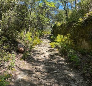 Balade le long de l'Alzon par le Moulin de Gisfort - Uzès - 5