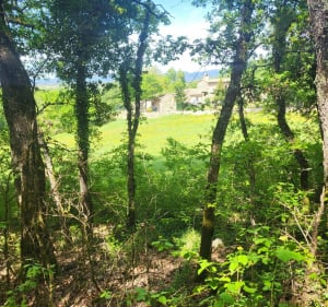 Potelières - Rivières - Potelières - Potelières - 3