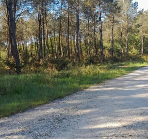 Entre Gironde et Charente départ de Saint Yzan de Soudiac - Saint-Yzan-de-Soudiac - 4