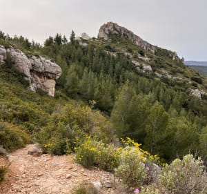 Le Pic de Bertagne par l’Espigoulier et les Dents de la Roque - Gémenos - 3
