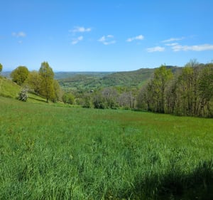 Entre Goutrens et la Capelle Del Vern - Escandolières - 4