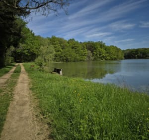 Entre plaine et revermont - Commenailles - 3
