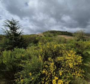 Boucle de Crêt Néron depuis Salles-Arbuissonnas-en-Beaujolais - Salles-Arbuissonnas-en-Beaujolais - 4