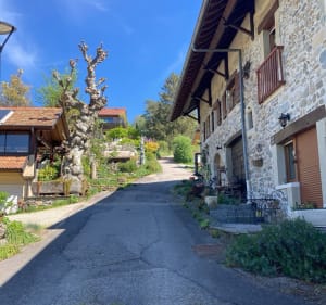 Promenade Feigères - La Celle - Feigères - 3