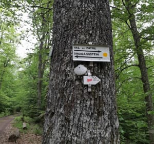 Balade à Orschwihr par le Val du Plâtre - Bergholtz−Zell - 5