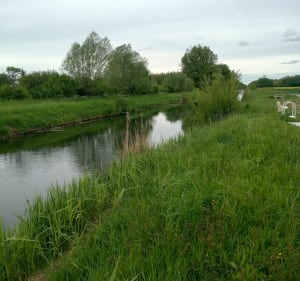 Balade sentier nature le long de l'Aisne, par Coucy - Rethel - 4