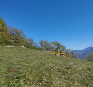 Roquefixade depuis Soula - Soula - 3