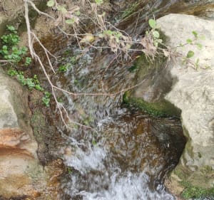 Rando les gorges du Gardon - Poulx - 5