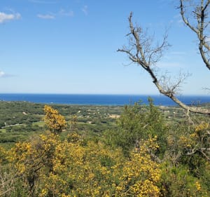 Ramatuelle et les moulins de Paillas par la piste des Fanaux - Ramatuelle - 3