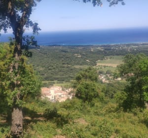 Ramatuelle et les moulins de Paillas par la piste des Fanaux - Ramatuelle - 5