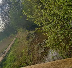 Au détour de Nolleval, Mesnil-Lieubray et la Hallotiere - Nolléval - 4