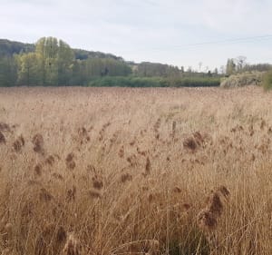 Au détour de Nolleval, Mesnil-Lieubray et la Hallotiere - Nolléval - 5