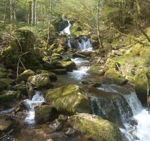 Oderen, cascade Saint Nicolas et panoramas - Oderen - 4