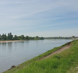 Forêt/Loire à velo/ château de Sully sur Loire - Bouzy-la-Forêt - 3