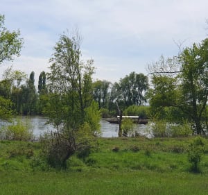 Forêt/Loire à velo/ château de Sully sur Loire - Bouzy-la-Forêt - 4