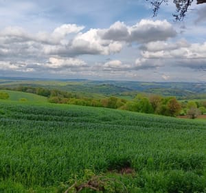 Chemin du Puech d'Escarts - Najac - 5