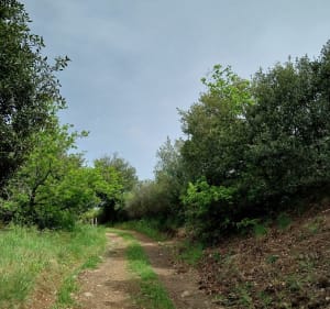 Beauchastel, le sentier des Merles - Beauchastel - 5