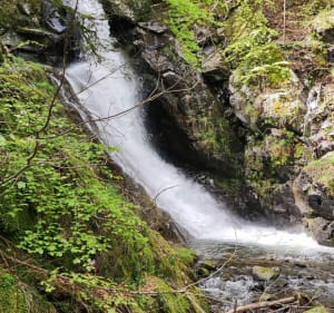 Lake Lauch via de watervallen - Linthal - 3