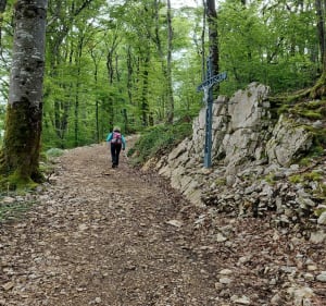 Wandel naar Notre-Dame d'Aigremont - Roulans - 3