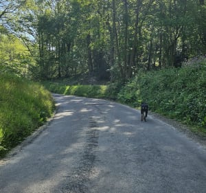 Balade dans la campagne de Thiergeville - Valmont - 3