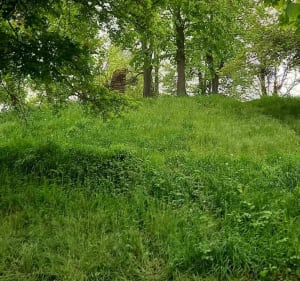 Entre Quiers et le Château de Bellegarde - Quiers-sur-Bezonde - 3