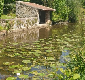 De Palaiseau à Chevreuse, du plateau à la vallée, - Palaiseau - 4