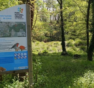 Très joli parcours paisible à Bougue - Bougue - 5