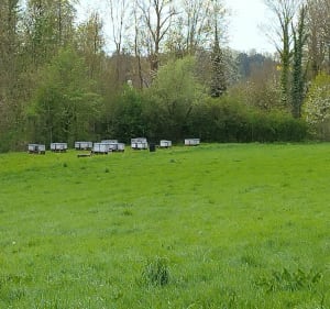 Les Éoliennes à Remilly-Wirquin - Remilly-Wirquin - 4