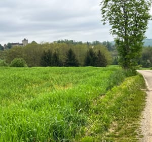 De la voie romaine au château du Pin (Jura) - Le Pin - 4