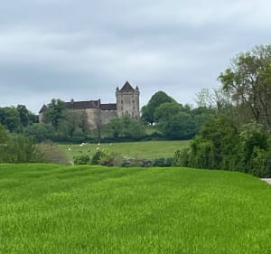 De la voie romaine au château du Pin (Jura) - Le Pin - 5
