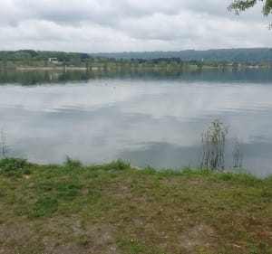 Base de loisirs des boucles de Seine - Moisson - 4