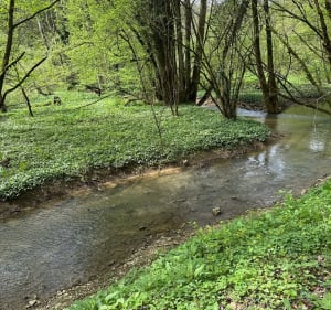 La source des Anges - Neufchef - 3